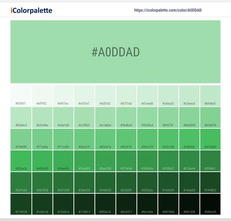 Hex Color Code #a0ddad | Pantone 13-0117 Tpx Green Ash color information | Hsl | Rgb | Pantone Pantone Color Book, Space Information, Color Palette From Image, Pantone Color Chart, Hexadecimal Color, Beige Color Palette, Hex Color, Pantone Colour Palettes, Hex Color Palette