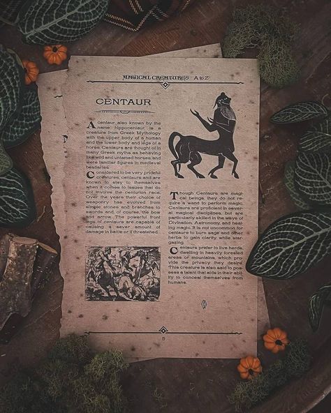 Centaurs Aesthetic, Centaur Aesthetic, Pluto Sagittarius, Archer Oc, Magical Pets, Mystic Aesthetic, Fairy Pirate, Comic Aesthetic, Leprechaun Gold