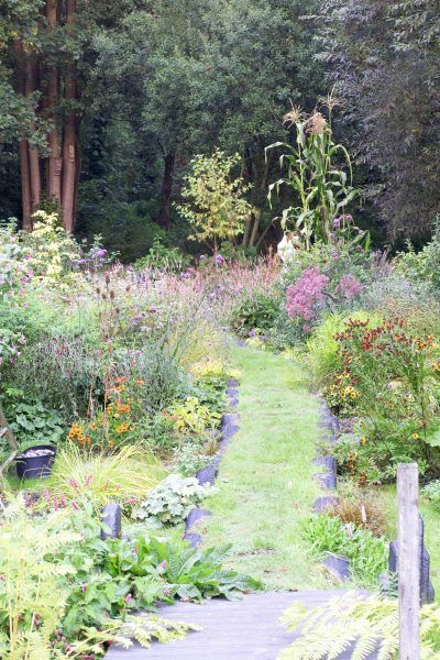 Upcycled Allotment Ideas, Junkyard Garden, Junk Garden Ideas, Recycled Garden Projects, Wildlife Garden Design, Upcycled Junk, Garden Exterior, Garden Transformation, Cookies Packaging