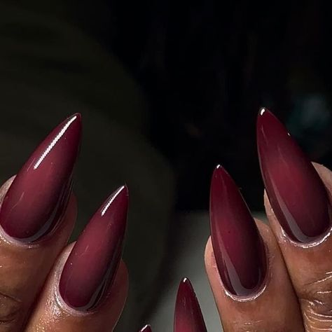 P 🌹 on Instagram: "This set on @natur.ata came out so perfect ♥️ #nails #airbrushnails #gelxnails #gelxnailtech #apresgelx #gelxnailartist #stilettonails #lanails #lanailtech #fallnails #rednails #darknails #nailinspo" Magenta Red Nails, Dark Wine Red Nails, Vampy Nails Almond, Dark Red Nails Long, Maneater Nails, Blood Red Nails Design, Nail Art Dark Colors, Ombré Red Nails, One Color Nail Ideas