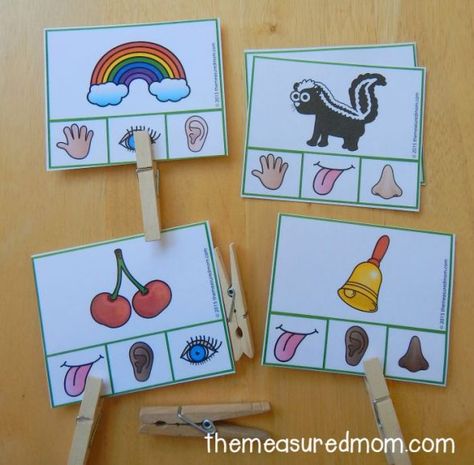 Five Senses Activity, Senses Activity, 5 Senses Preschool, Five Senses Preschool, 5 Senses Activities, Science Elementary, Senses Preschool, My Five Senses, The Measured Mom