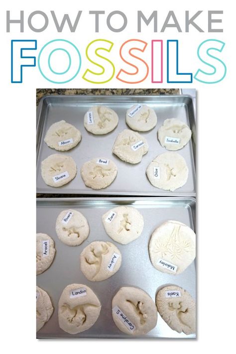 Making Fossils In The Classroom, Fossils 3rd Grade, Salt Dough Fossils, Fossils Lesson, Diy Fossils, Fossils Activities, Make Salt Dough, How To Make Salt Dough, Geology Art