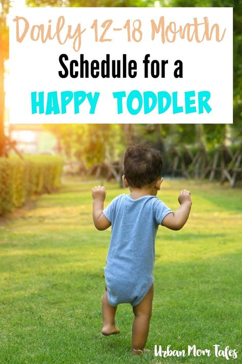 12 Month Old Schedule, Adalyn Grace, Baby Activities 1 Year, Boys Activities, Activities For One Year Olds, Baby Development Activities, Toddler Routine, Baby Routine, Toddler Schedule