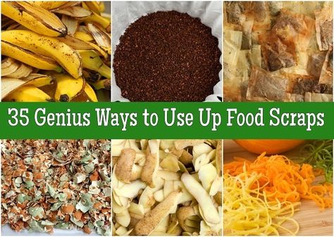 Soil Nutrients, Banana Peels, Vegetable Scraps, Crafty Fox, Uses For Coffee Grounds, Homemade Products, Banana Peel, Food Scraps, Outdoor Stuff