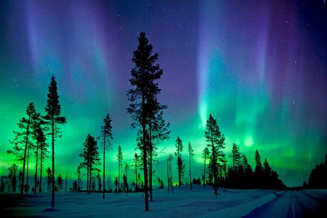 Northern Lights Wall Art, Northern Lights Wallpaper, Lights Wallpaper, Northern Lights (aurora Borealis), Snow Forest, Aurora Borealis Northern Lights, Universe Galaxy, See The Northern Lights, Lit Wallpaper