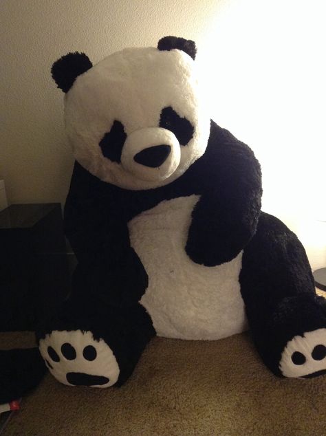 36" stuffed panda from Costco Panda Teddy Bear, Panda Stuffed Animal, Teady Bear, Desenho Tom E Jerry, Big Stuffed Animal, Big Teddy Bear, Big Teddy, Giant Teddy Bear, Giant Teddy