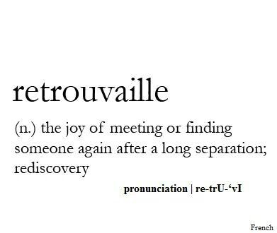 Definition of Retrouvaille: the joy of meeting or finding someone again after a long separation; rediscovery. Unique Words Definitions, Distance Relationship Quotes, Fina Ord, Relationship Quotes For Him, Uncommon Words, Fancy Words, Weird Words, Unusual Words, Word Definitions