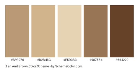 Color scheme palette image Beige Tan Color Palette, Beige And Brown Colour Palette, Brown Color Palette For Wedding, Canva Brown Palette, Brown Beige Palette, Colour Palette Browns, Brown And Tan Color Palette, Tan Pallete Color, Aesthetic Brown Color Palette