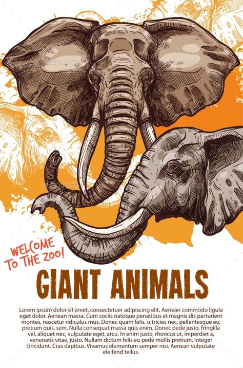 Elephant Poster Design, Zoo Restaurant, Zoo Poster Design, Safari Poster, Nature Indian, Zoo Poster, Animals Elephants, Elephant Logo Design, Elephant Zoo