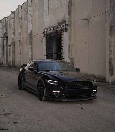 Mustang 2024 Black, Black Ford Mustang Gt, 5.0 Mustang, 2024 Ford Mustang Dark Horse, All Black Mustang, Blacked Out Mustang, Ford Mustang 2023, Black Mustang Car, 2020 Mustang Gt