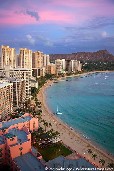 Waikiki Rio De Janeiro, Hawaii Wakiki, Hawaii City, Hawaii Beautiful, Hawaii Waikiki, Pink Hotel, Beautiful Hawaii, Waikiki Hawaii, Honolulu Oahu