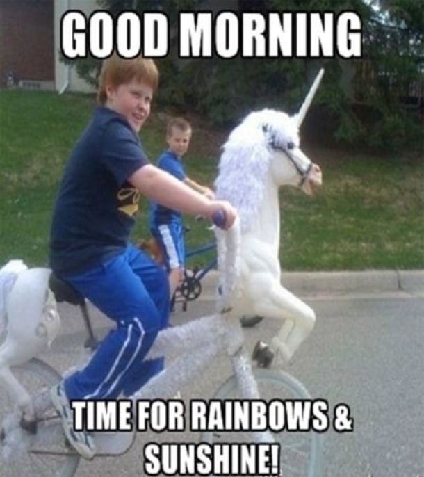 a man riding on the back of a bike next to two white dogs and text that reads, good morning time for rainbows & sunshine funny good morning memes good morning mememe