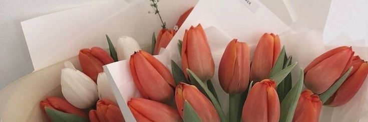 an arrangement of tulips in a white vase