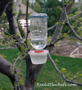 a bird feeder hanging from a tree with water in it's beak and attached to the branch