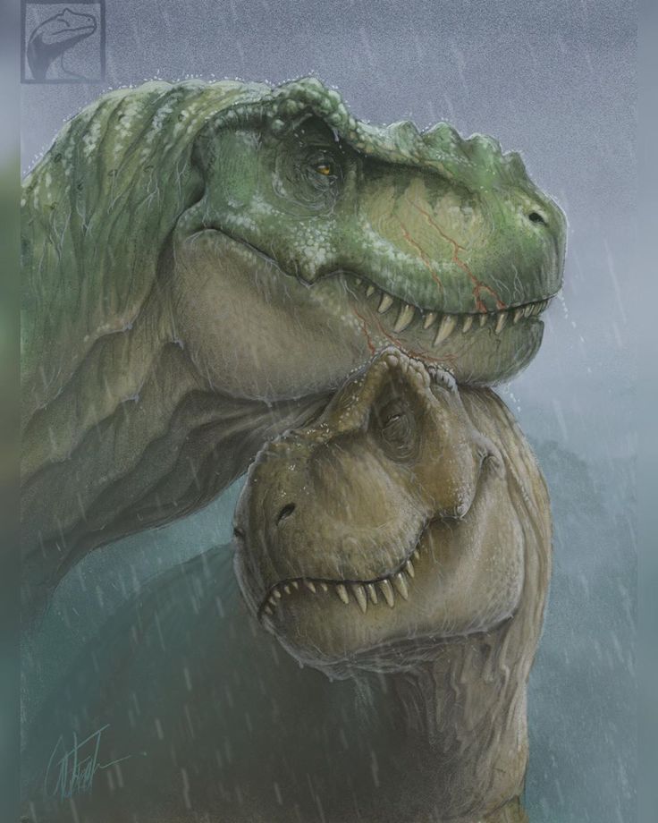 an image of two dinosaurs that are in the rain with their heads touching each other