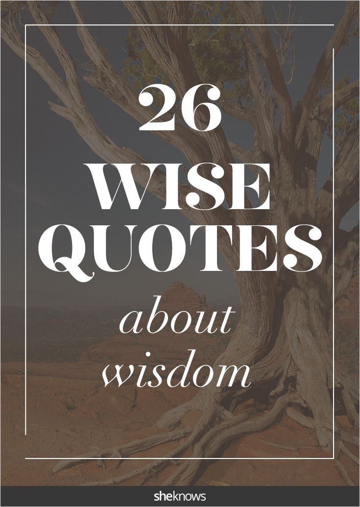 a tree with the words, 26 wise quotes about wisdom