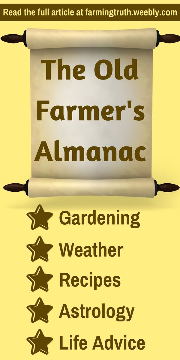 the old farmer's almanac is shown with five stars in front of it