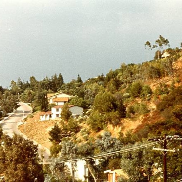 a hill with houses on it and trees in the foreground, surrounded by power lines