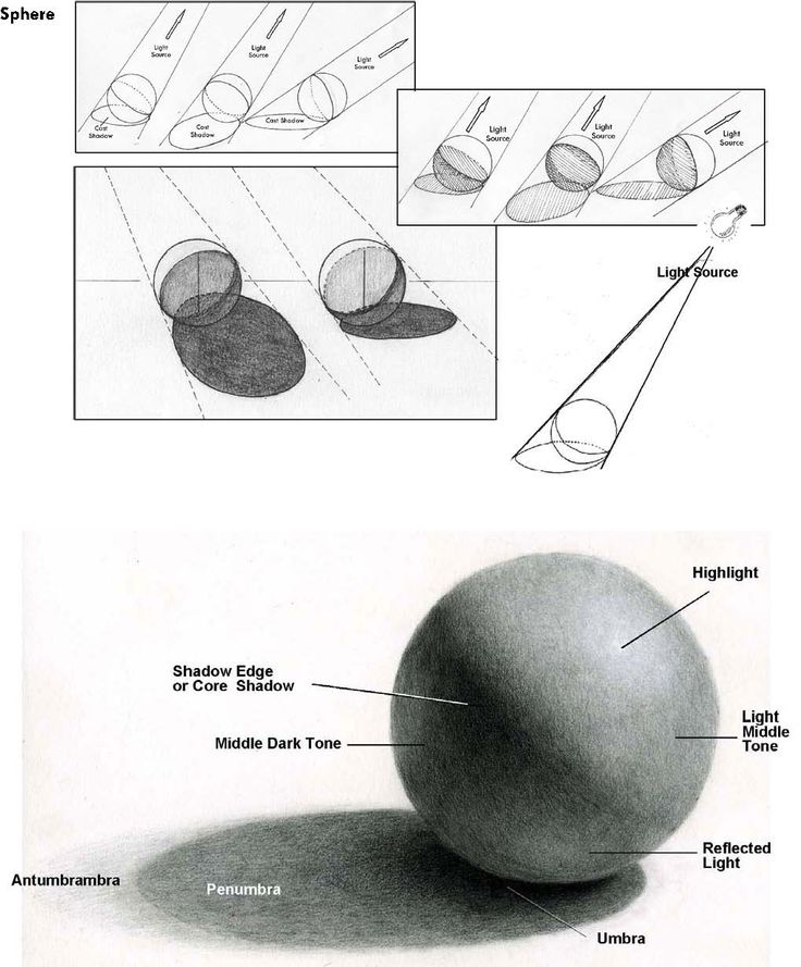 an apple is shown with its parts labeled in the diagram above it and below it