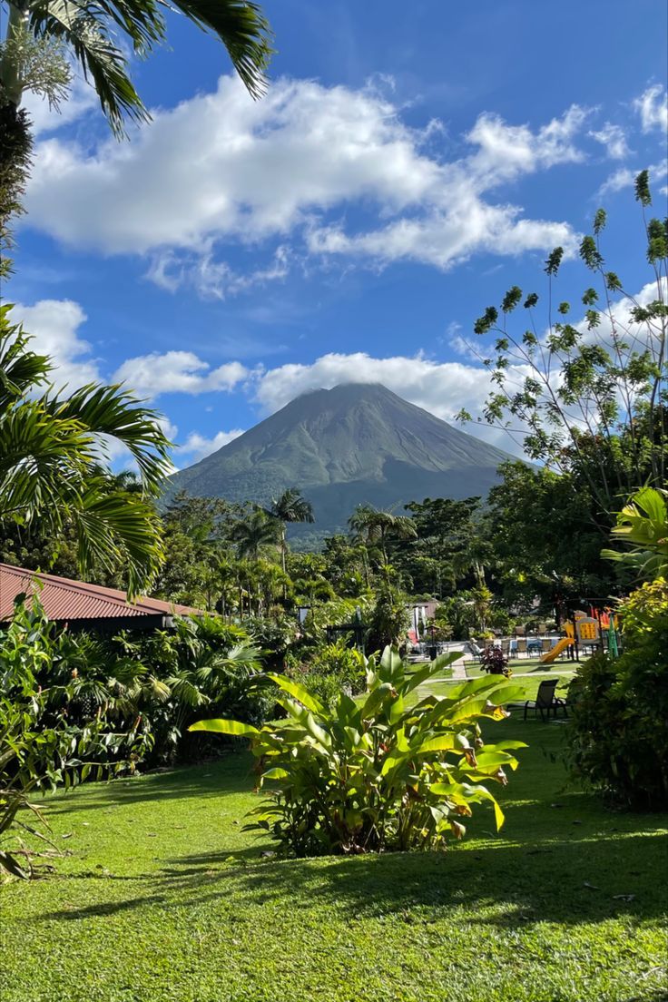 a lush green yard with a mountain in the background