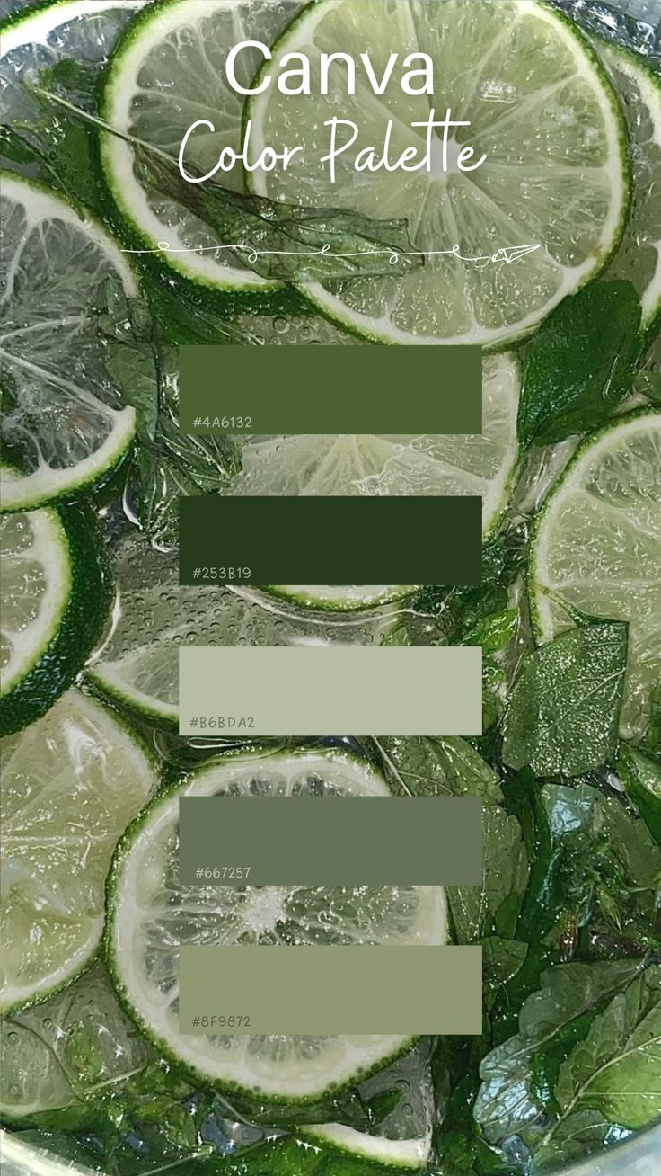 Jade Color Palette Colour Schemes, Aesthetic Colors Palettes, Canva Color Pallete, Color Palettes Green, Aesthetic Colour Palette, Aesthetic Color Palettes, Canva Color Palette, Canva Colors, Color Palette Green