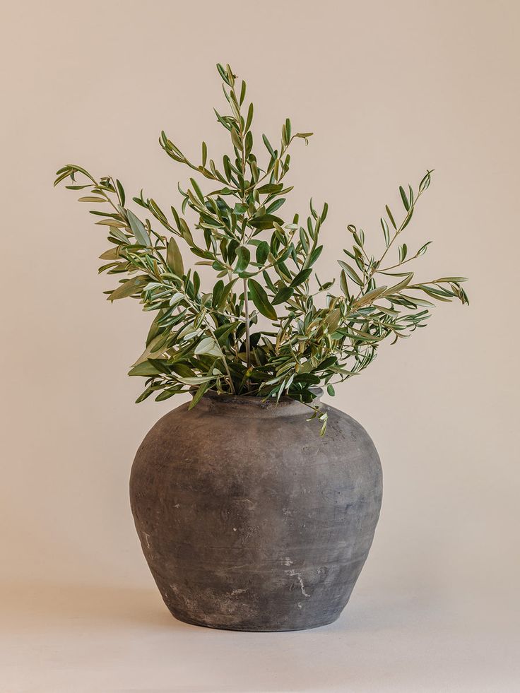 Kitchen Plants Decor, Vintage Terracotta Pots, Rustic Vases, Modern Nest, Sand Vase, Terracotta Pot, Spanish Revival, Room Deco, Deco Floral