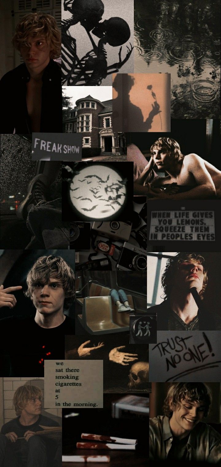 #tatelangdon #americanhorrorstory #ahs #aesthetic #kylespencer #psychopath #smoking #wallpaper #lockscreen Ahs Phone Wallpaper, Even Peters Wallpapers, Evan Peters Collage Wallpaper, American Horror Story Aesthetic Wallpaper, Tate Langdon Lockscreen, Tate Langdon Collage, Tate Ahs Wallpaper, Kyle Spencer Wallpaper, American Horror Story Wallpaper Iphone