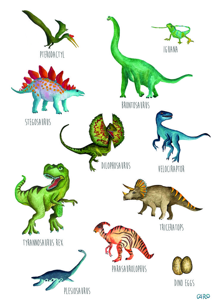 an image of different types of dinosaurs