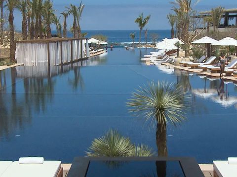 an outdoor swimming pool with lounge chairs and palm trees