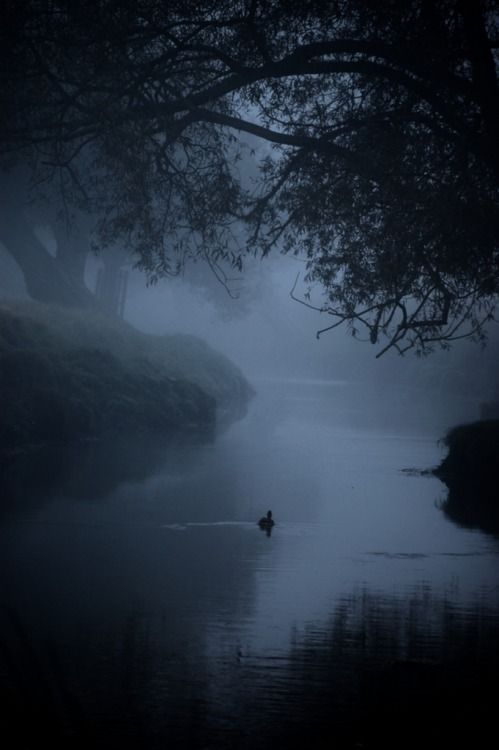 a person in a boat on a body of water at night with fog and trees