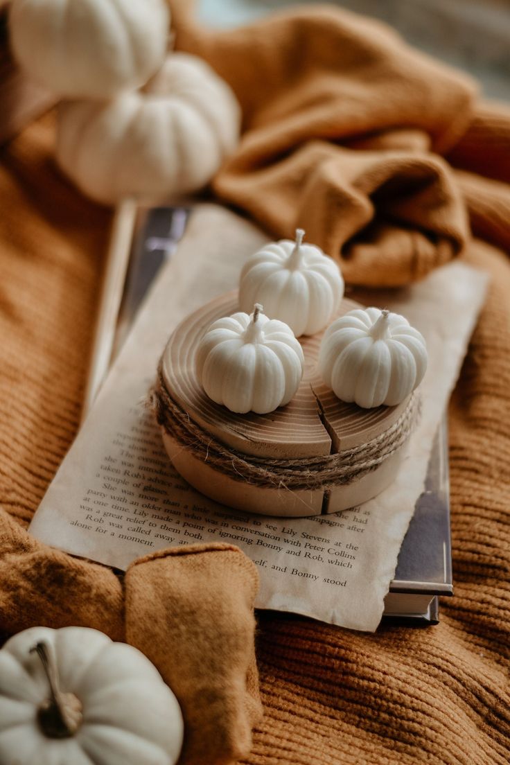 small white pumpkins sitting on top of an open book next to some other items