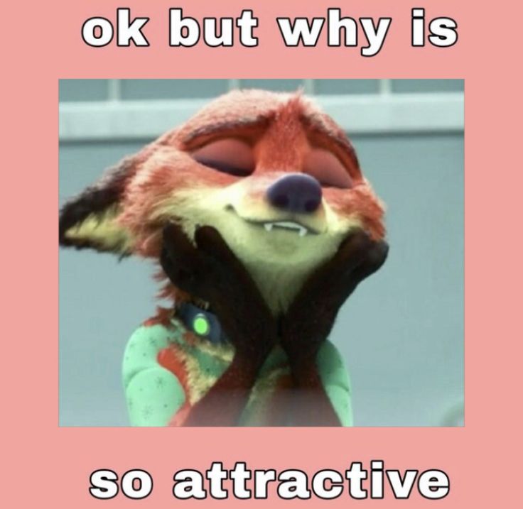 a fox with an expression on it's face that says, ok but why is so attractive?