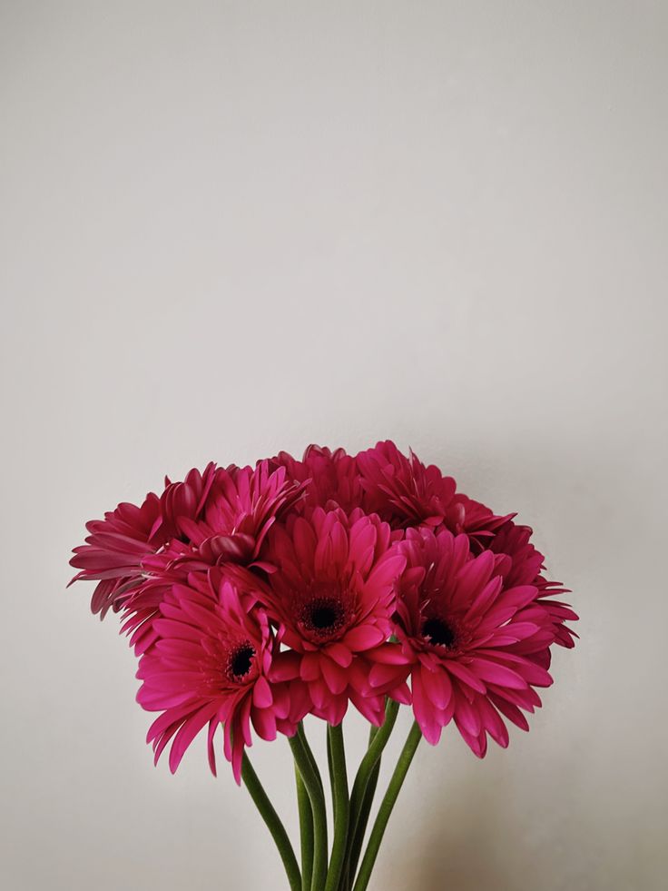 a vase filled with pink flowers sitting on top of a table next to a white wall