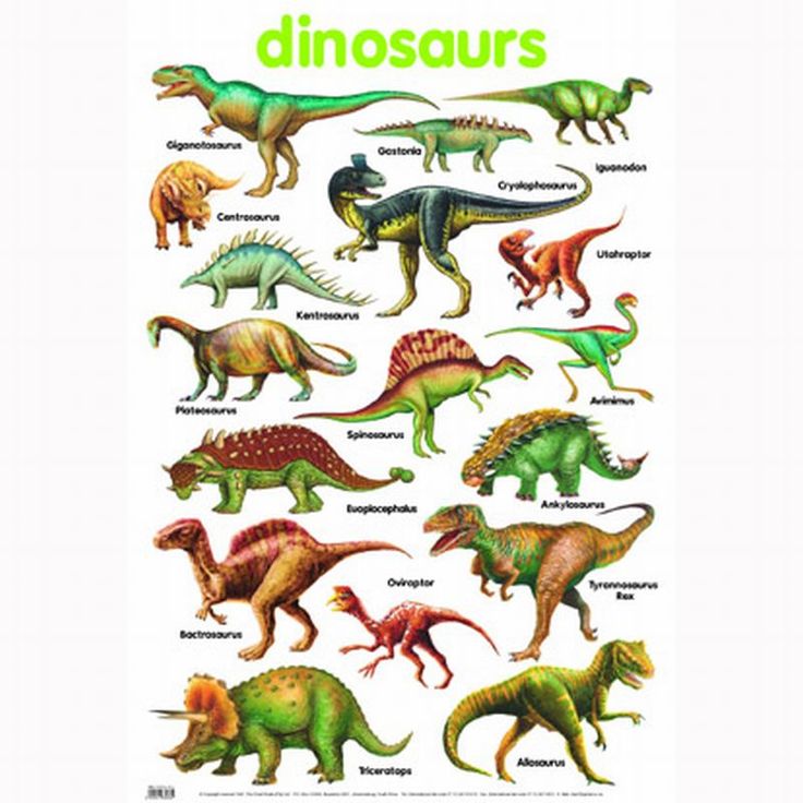 a poster with different types of dinosaurs
