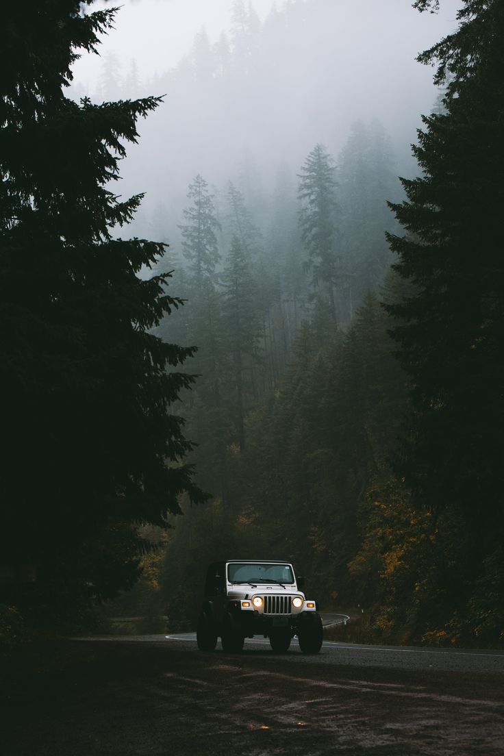 a jeep driving down a road surrounded by trees
