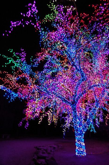 a tree covered in colorful lights at night