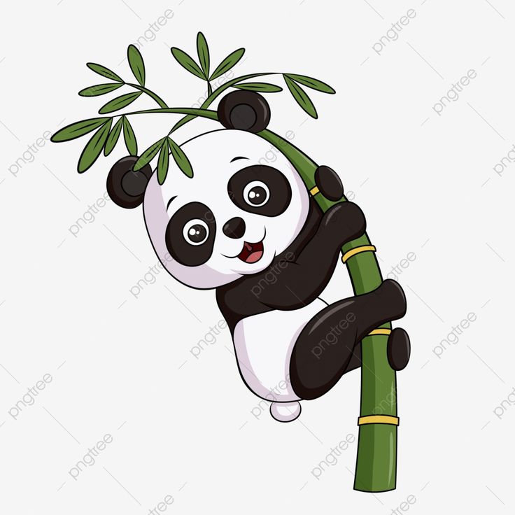 a panda bear hanging from a bamboo tree