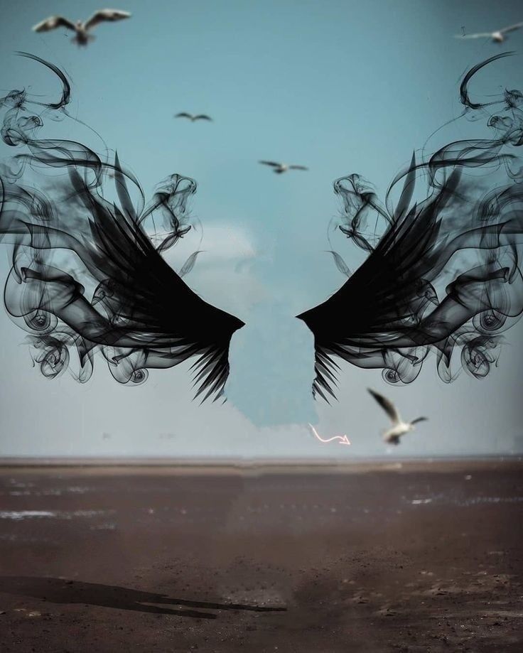 an artistic image of two black wings flying over a stool