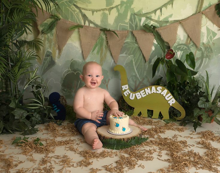 a baby sitting on the ground with a cake in front of him that is decorated like a dinosaur