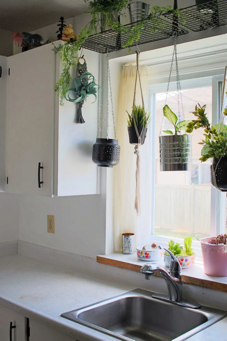 several hanging plants in pots on the kitchen window sill above a stainless steel sink