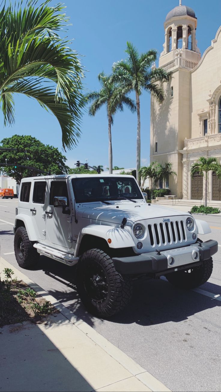 a white jeep parked in front of a palm tree