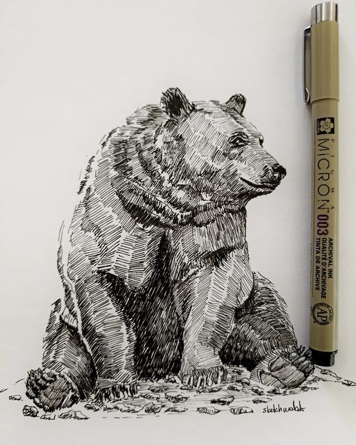 a drawing of a bear sitting on the ground