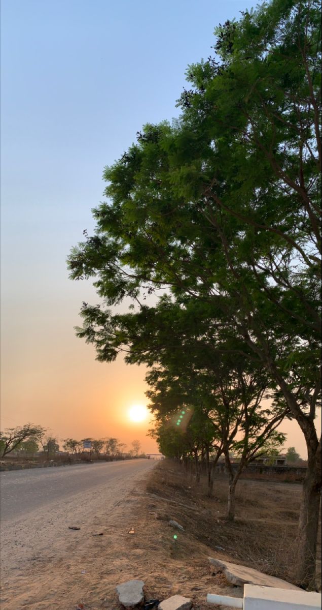 the sun is setting behind some trees and trash on the side of the road,