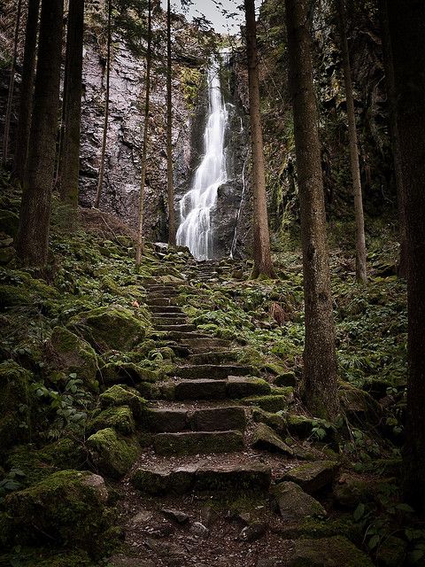 Hidden in the Forest by andywon - Burgbach Forest Stairs & Waterfall in the Black Forest, near in Bad Rippoldsau-Schapbach, Baden-Wurttemberg, DE. Sweden Life, Garden Getaway, Story Settings, Stone Bridges, Black Forest Germany, Forest Waterfall, The Black Forest, Les Cascades, Interesting Stuff