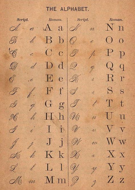 Victorian era script, cursive, typography Abc Charts, Pretty Fonts Alphabet, Victorian Fonts, Abc Chart, Bahasa China, Handwriting Examples, Pretty Handwriting, Handwriting Analysis, Cursive Alphabet