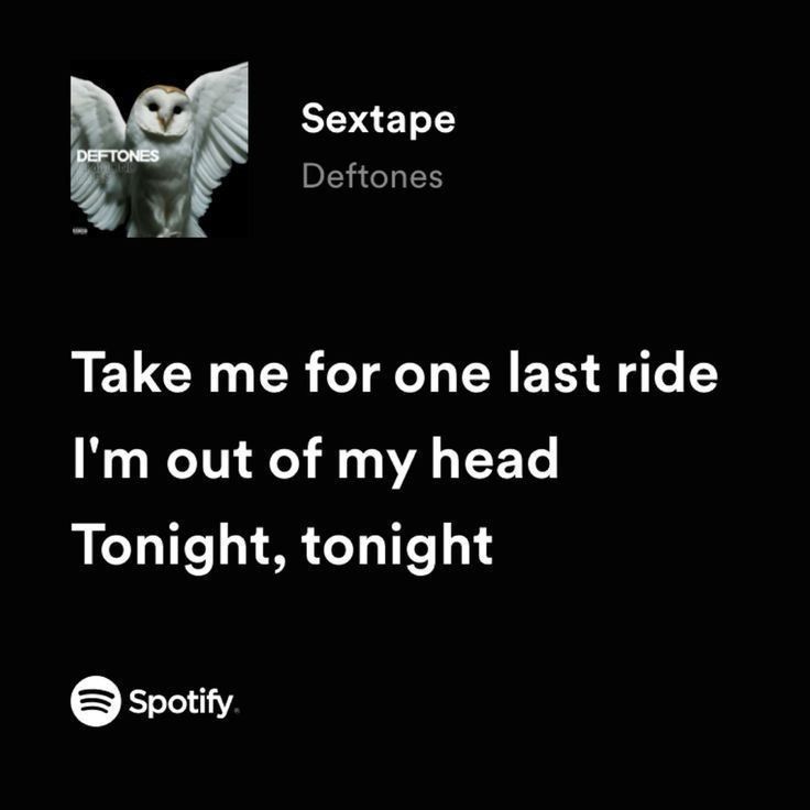 an owl with its wings spread out and the words take me for one last ride i'm out of my head tonight, tonight