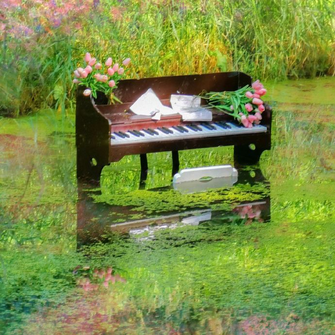 an old piano in the water with flowers on it