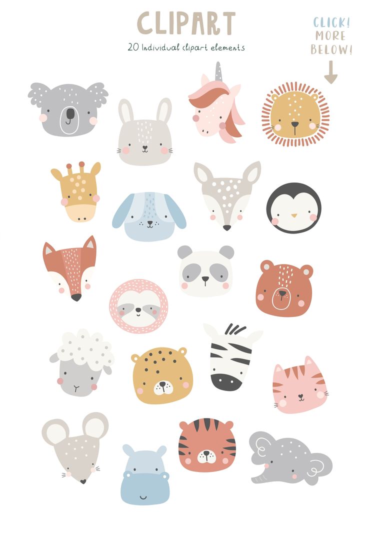 a bunch of animals that are grouped together