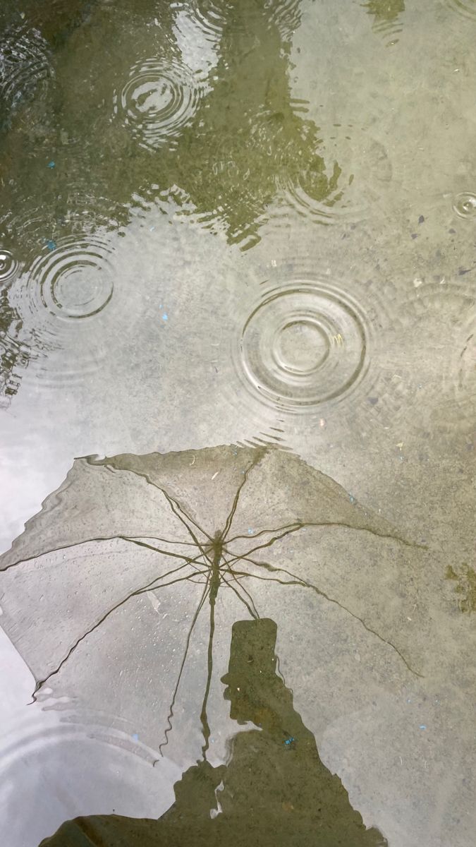 an umbrella is floating in the water on a rainy day
