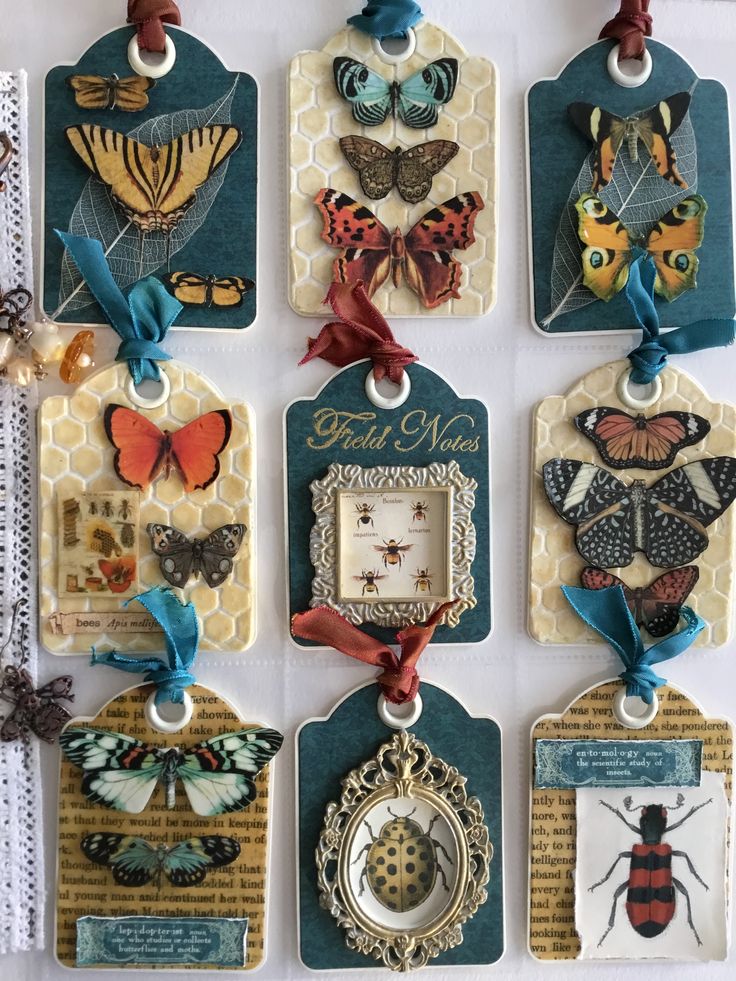 the tags are decorated with different types of bugs and butterflies, all hanging on clothes pins